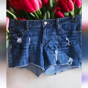 Denim Distressed Women's Shorts Size 10 By A.N.A